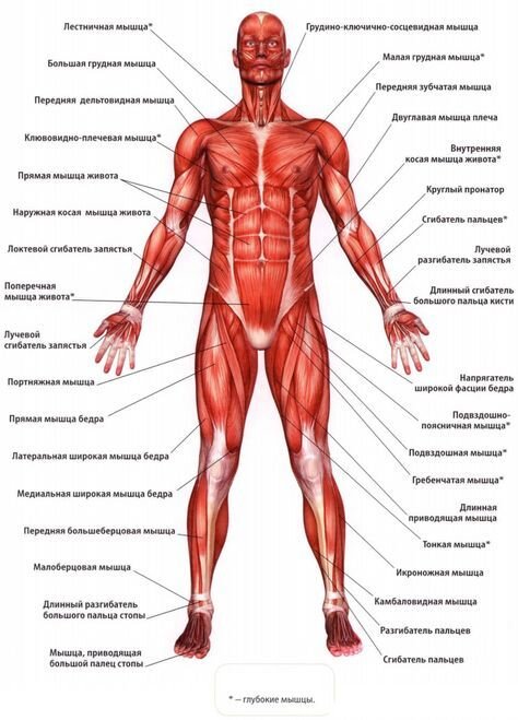 https://i.pinimg.com/564x/c5/66/e7/c566e7e1c13f60d830dbf3acada7b838.jpg