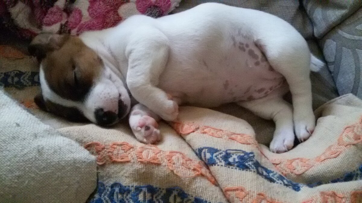 Одна из миллиона фотографий за первый вечер