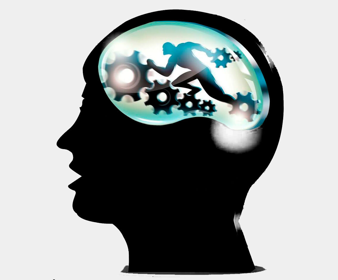 спорт интеллект. мозг с гантелями. спортивный интеллект. как спорт влияет на мозг. умственная и физическая нагрузка.