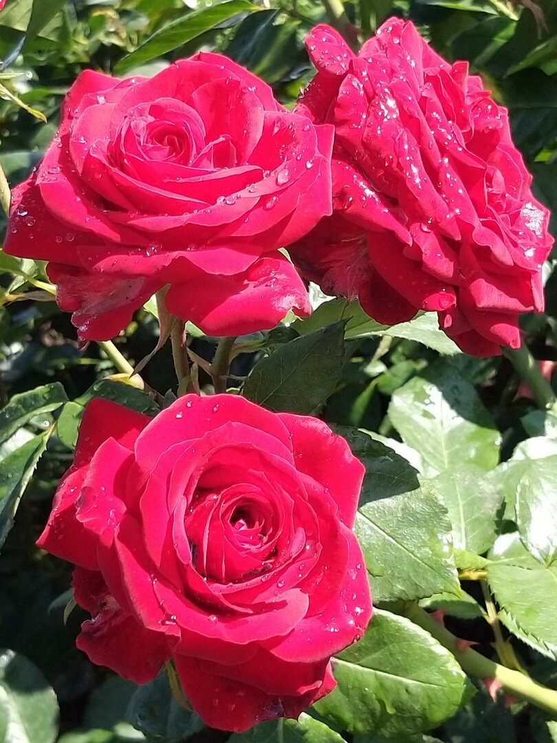 Фото автора статьи