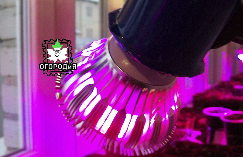 Приспособления для крепления продаются недорого, это у нас так получилось