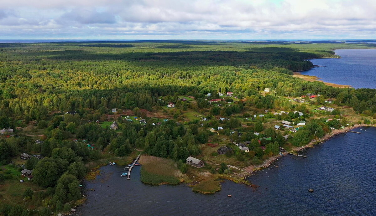 Заказник березовые острова