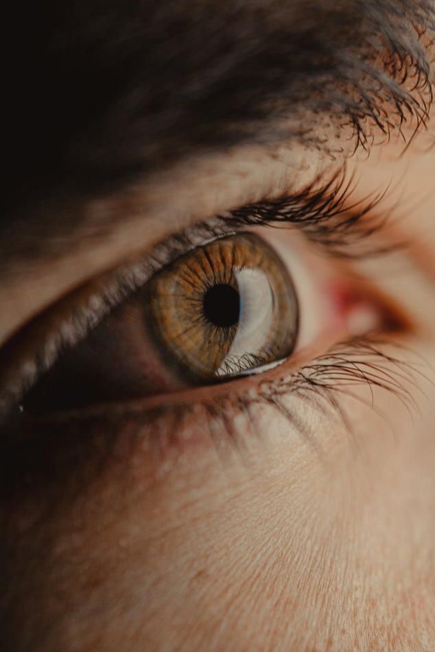 Почему мы не можем видеть в темноте как кошки? | Doccentr | Дзен