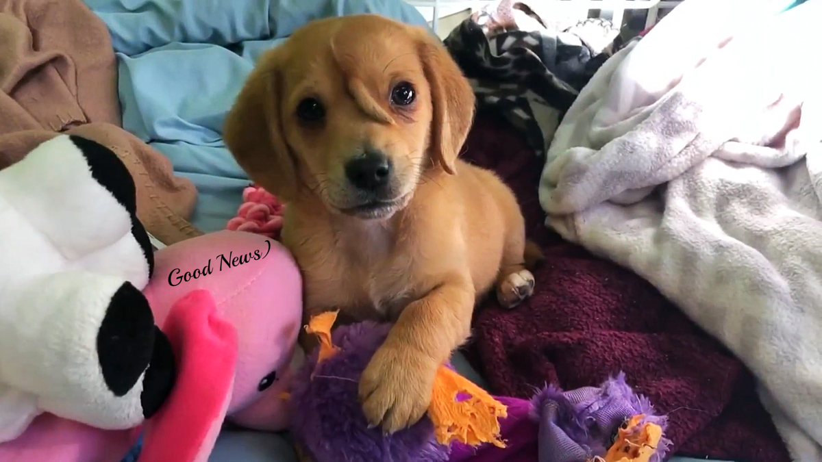 Фото с сайта sm-news.ru