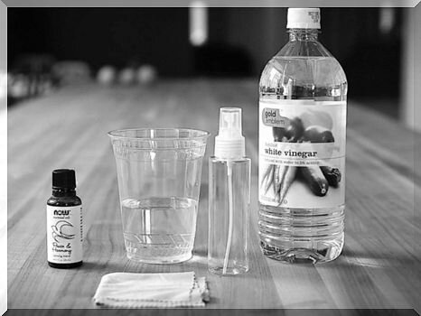 Фото Яндекс.Картинки. Все права принадлежат правообладателям