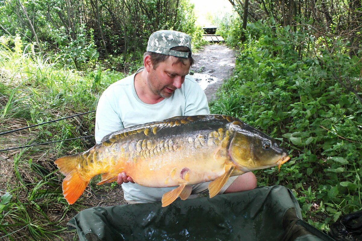 Автор фото Вадим Летюшов