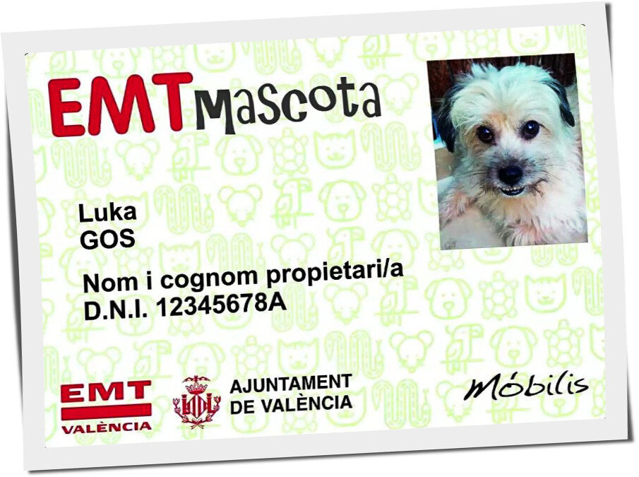 Карта EMT mascot  собачки Luka GOS 