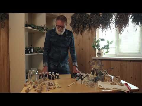 Картинка взята с источника Яндекса картинки