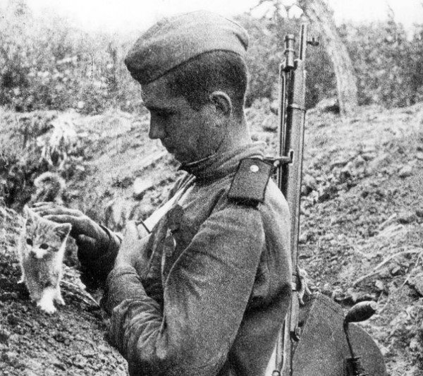 Старшина Рыжик. Фото взято с ресурса Яндекс картинки.