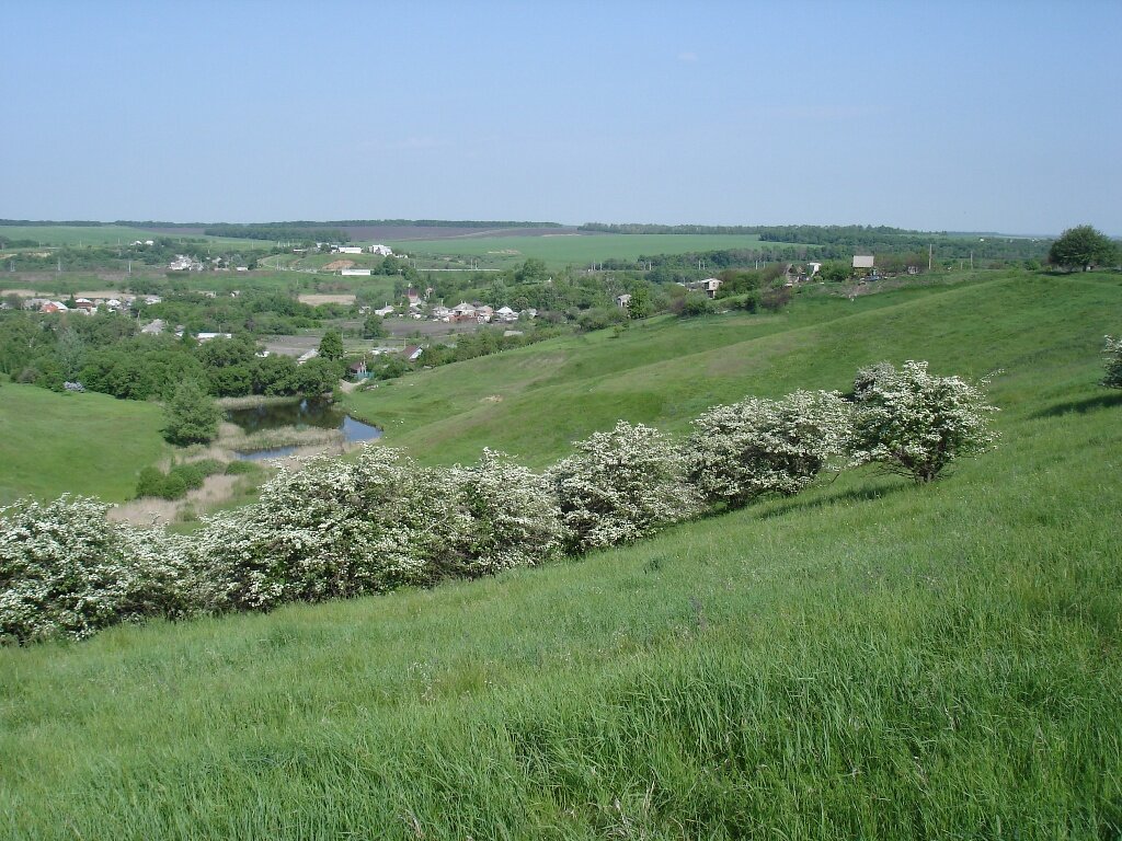  
Вид с Долбинской высоты. (Фото Санчесс) 