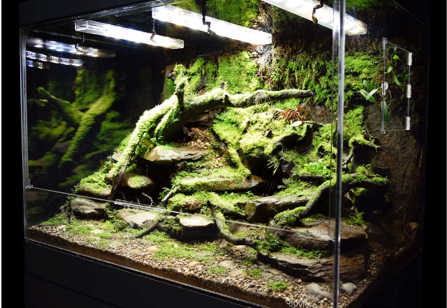 Что такое "виварий"? | Добрейшей души человек | Дзен