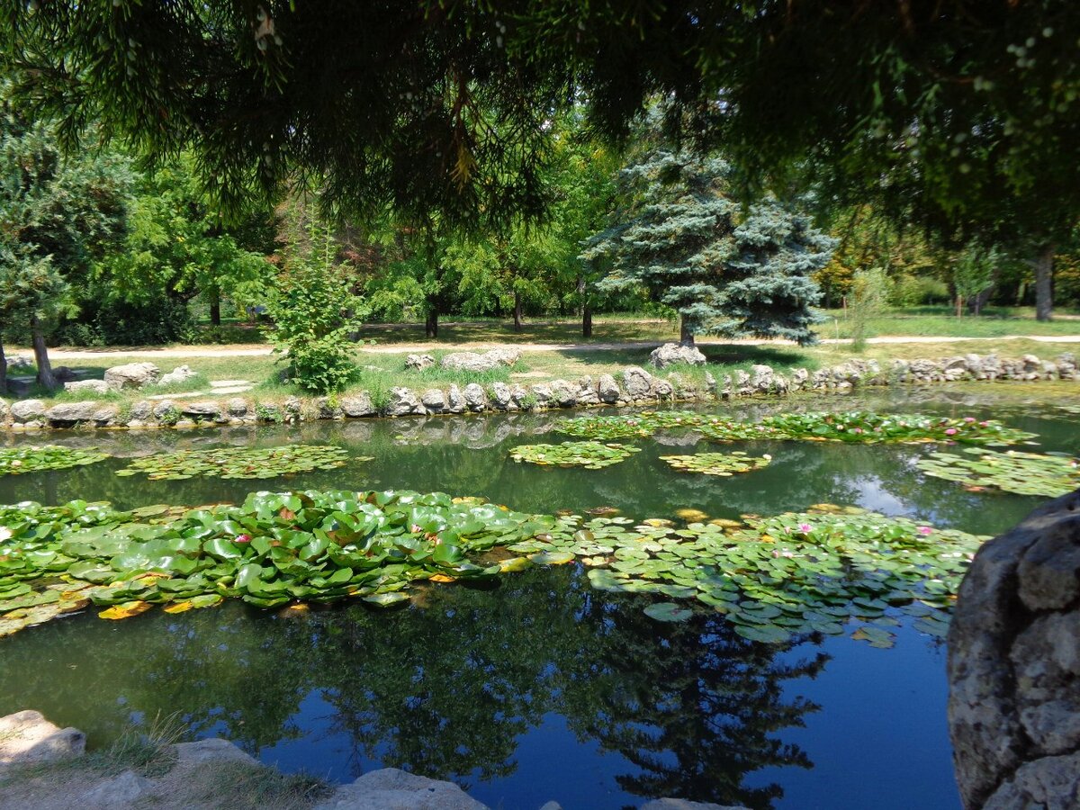 Ботанический сад КФУ Симферополь