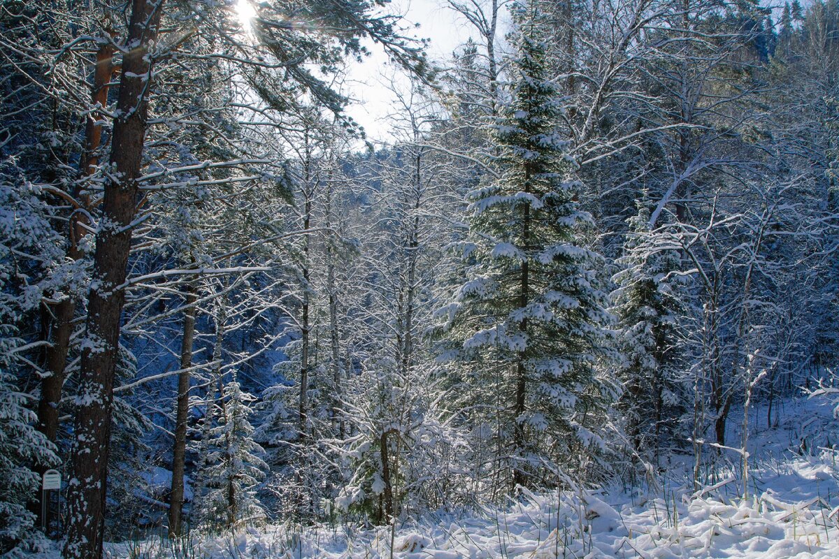 Пейзаж терренкура