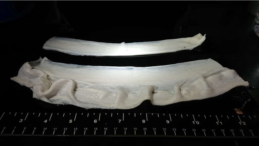 Волокна, имитирующие внеклеточный матрикс