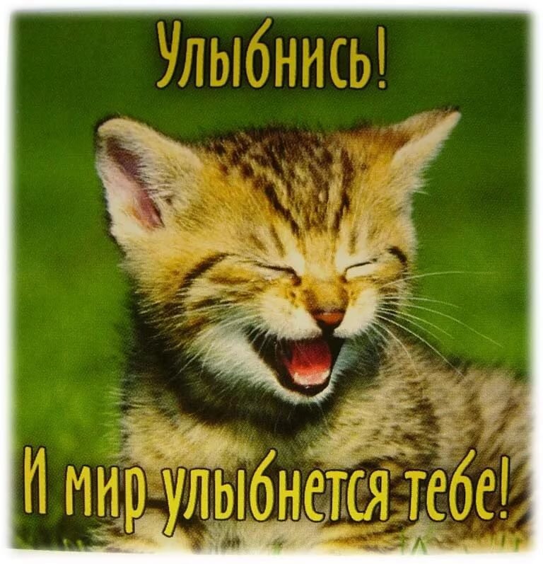 Картинка взята из открытых источников Яндекс.Картинки.