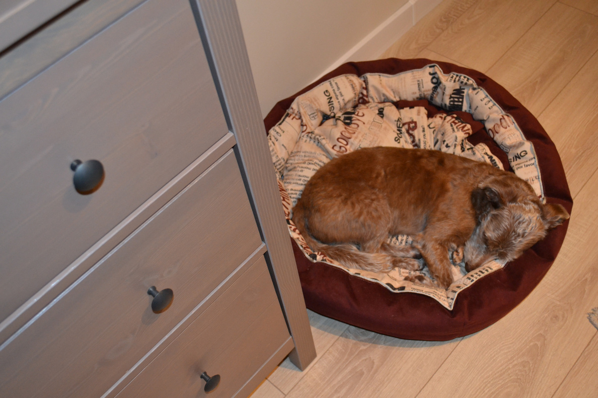 В новой лежанке