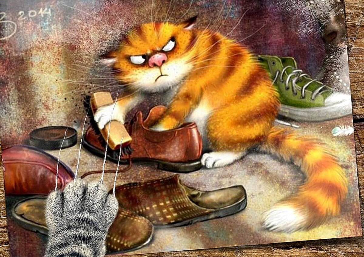 Топот котов. Рыжий кот Зенюк. Кот и ботинок Ирины Зенюк. Кот чистит ботинки картина.
