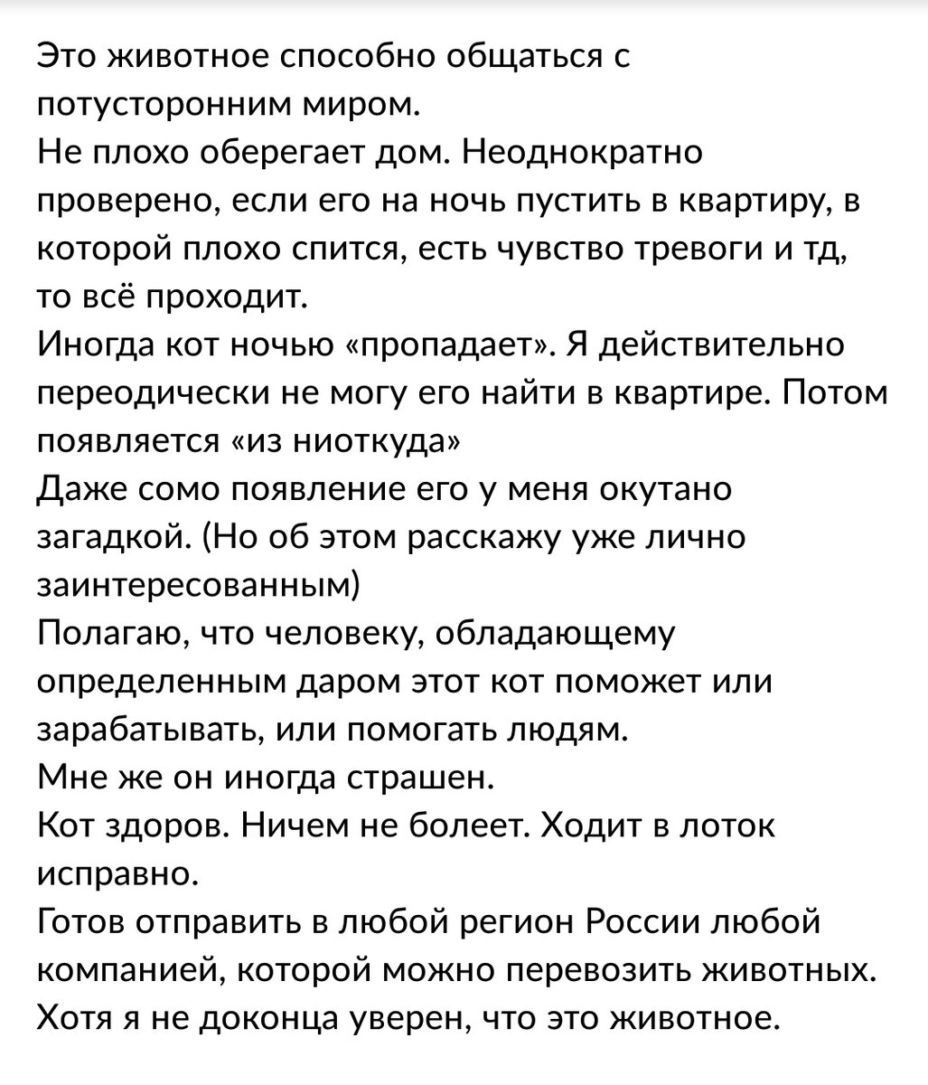 Источник фото: авито