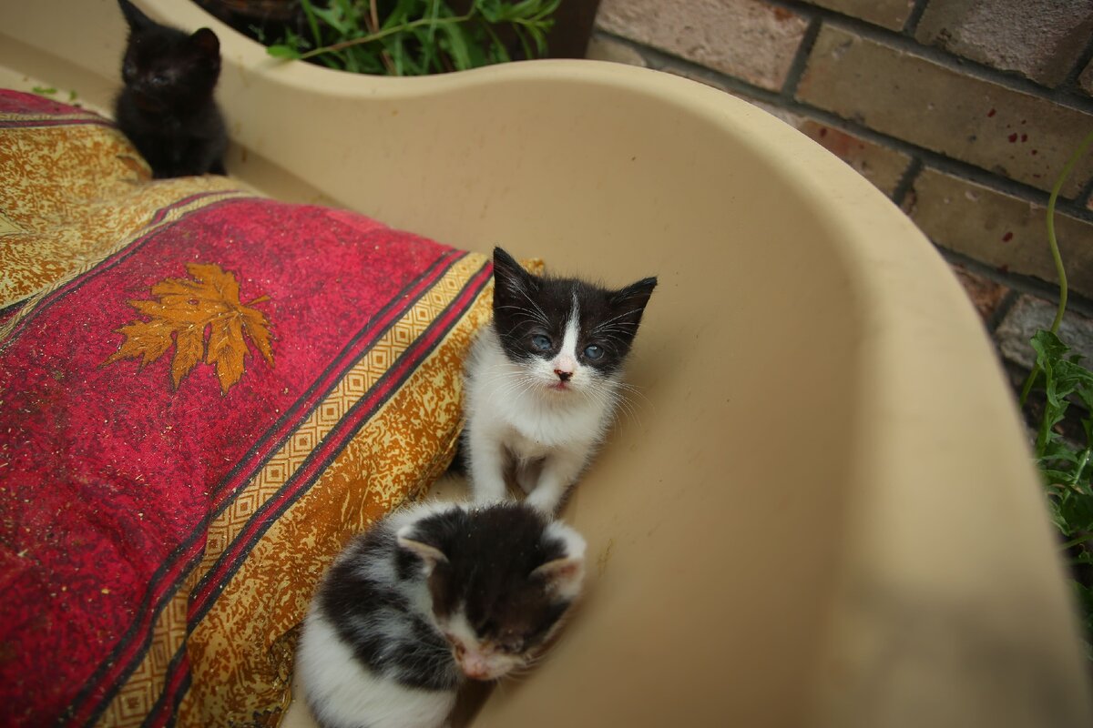 (Фото из интернета)