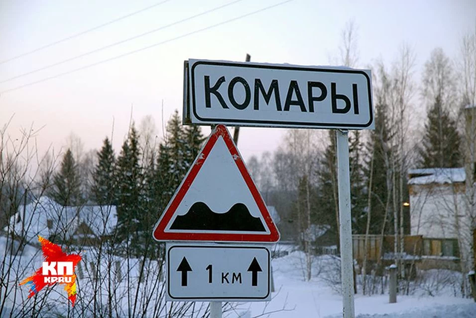 Смешные названия городов и деревень. Смешные названия населенных пук. Цивильский район деревня конары. Смешные названия сёл. Смешоноя названия городов.