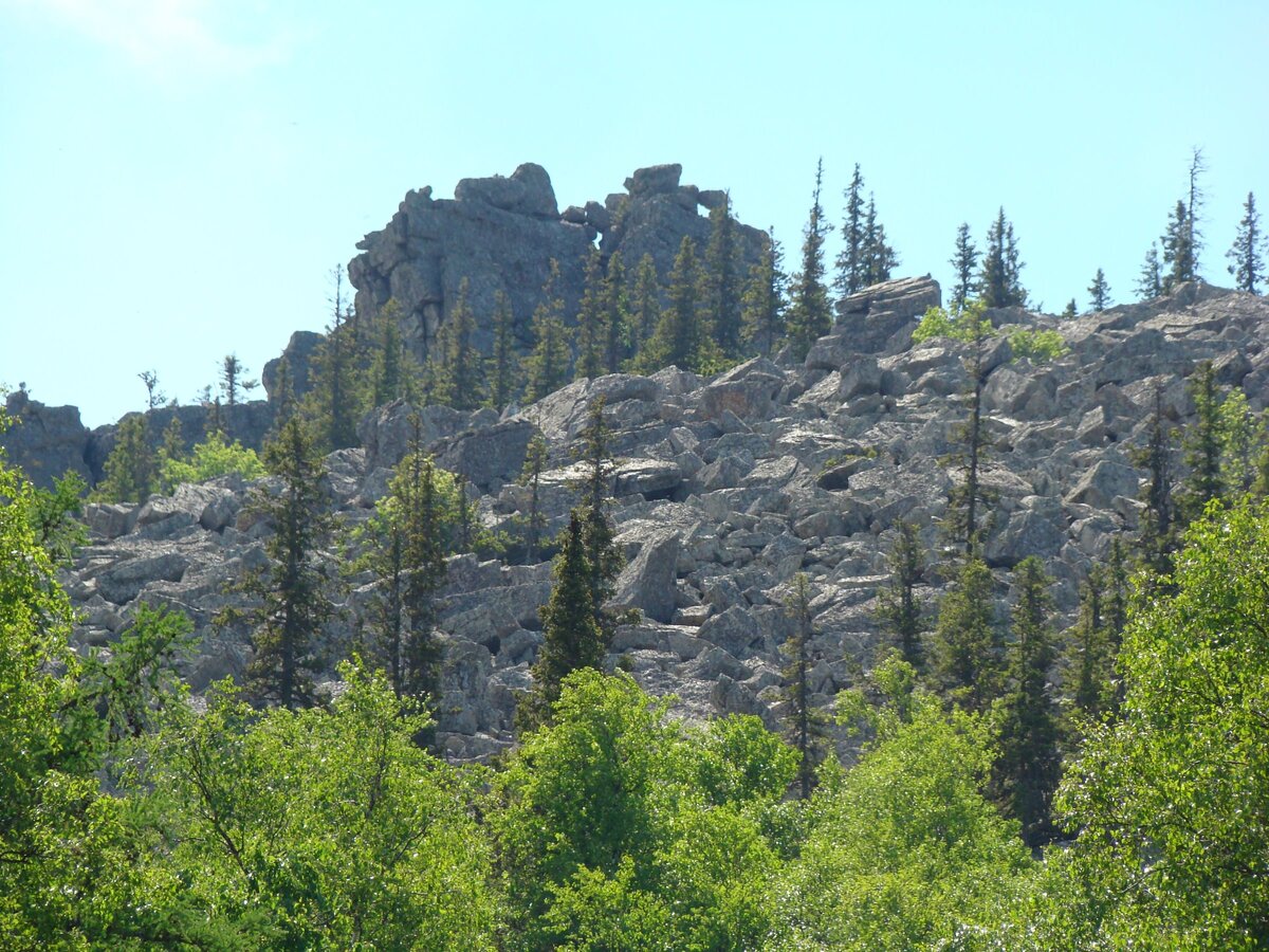 На пути к Иремелю 9собственное фото)