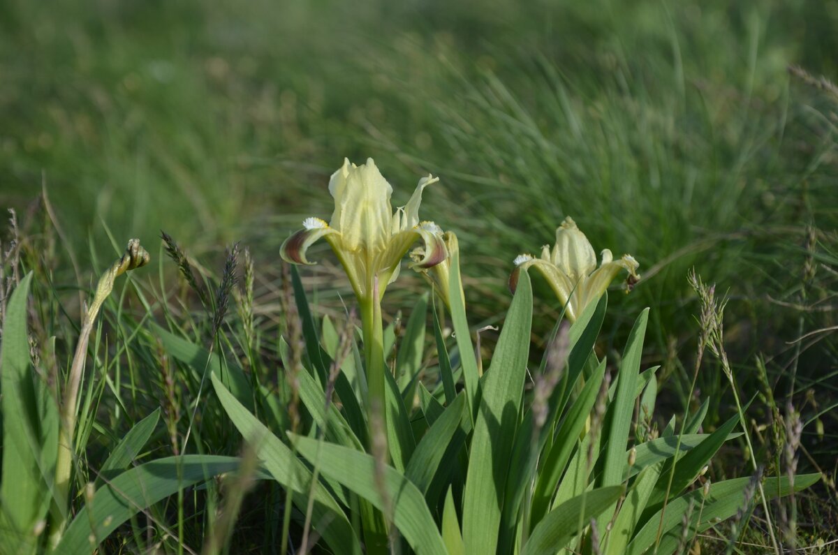 из личного архива