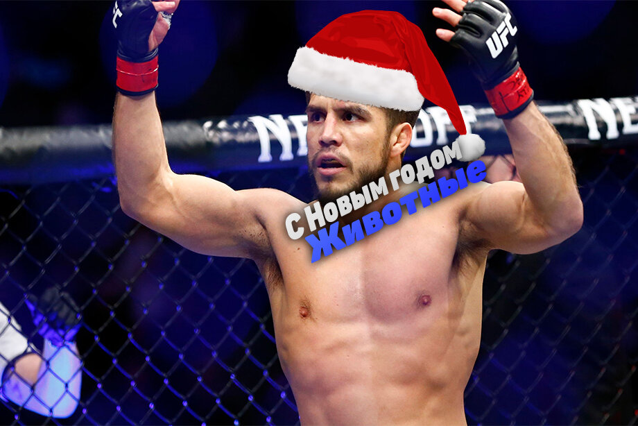 Фотография взята из открытого источника в интернете