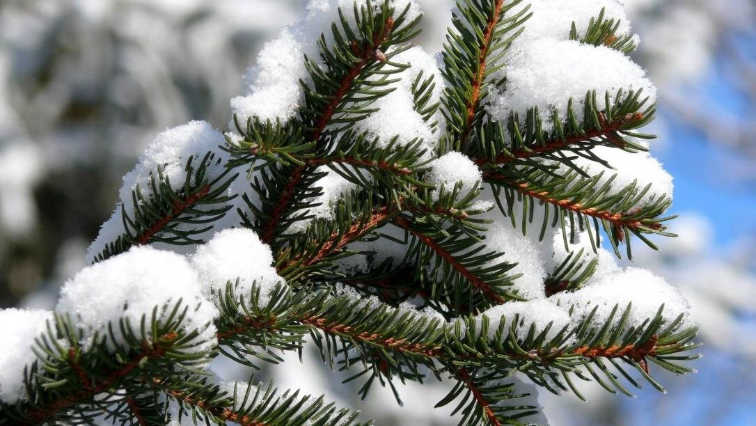 Фото – akspic.ru