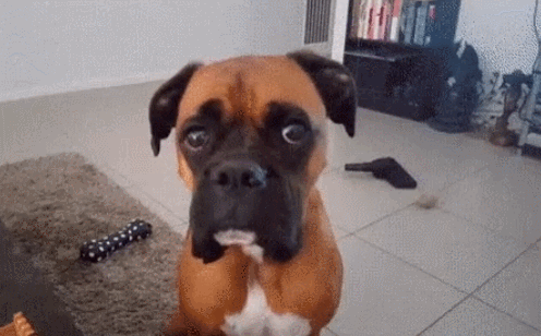 Когда пытаешься молча намекнуть. Взято из открытых источников