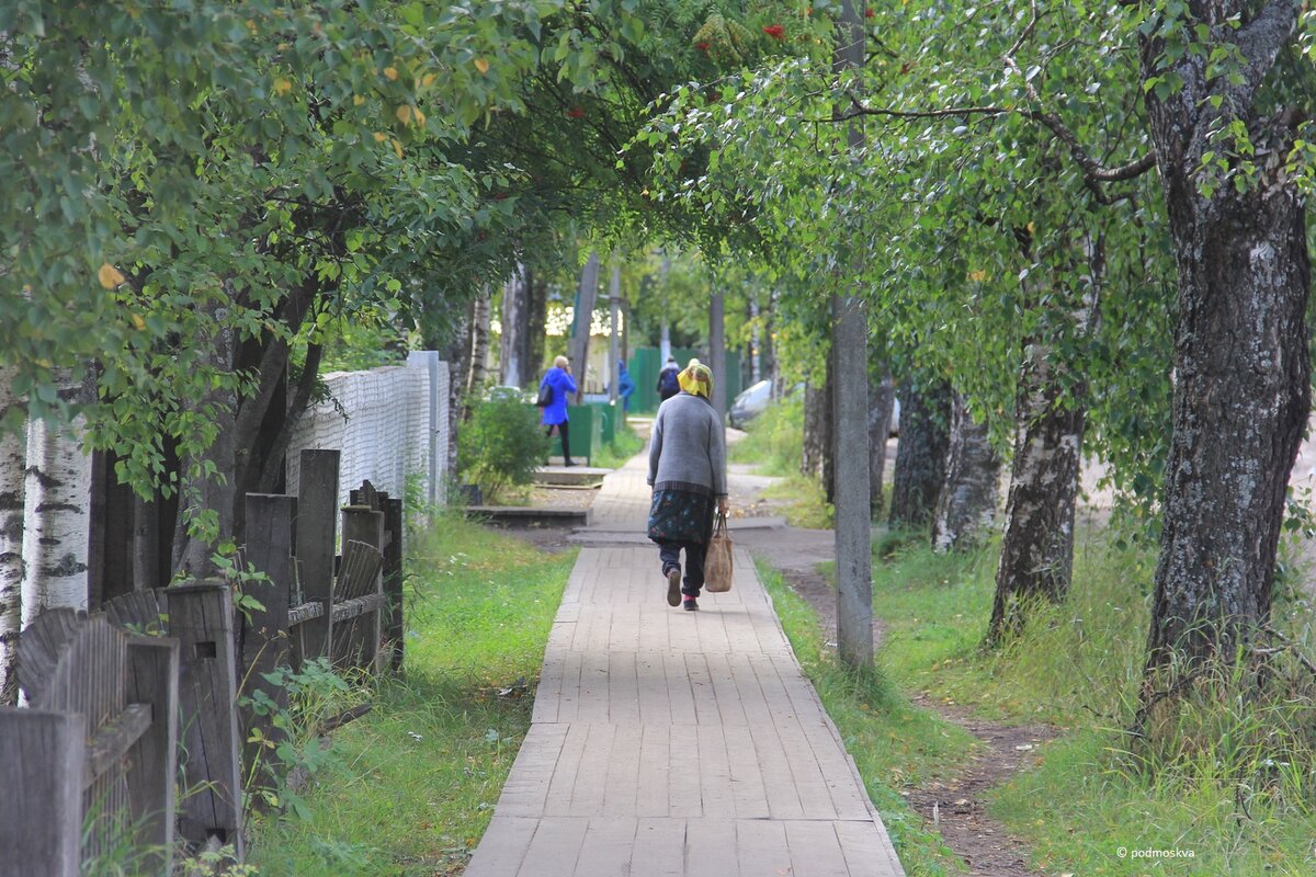 Очаровательный Крайний Север: древнее северное село Карпогоры в  Архангельской области со старинной улицей «деревянных коней» | По России с  Позитивом | Дзен