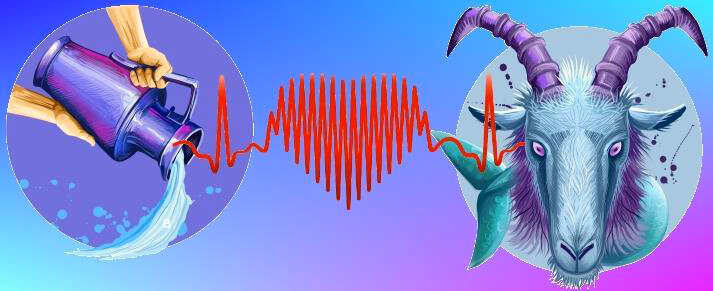 Водолей и козерог