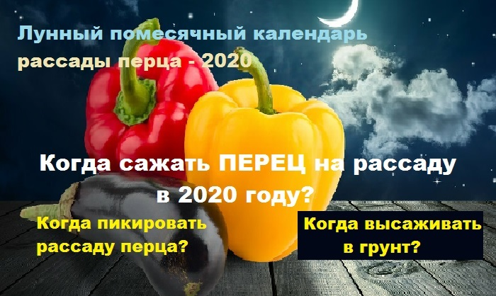 Календарь посадки болгарского перца на февраль