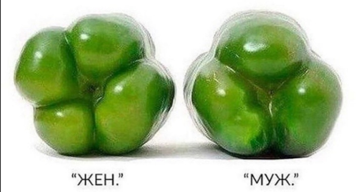 Изображение взято из открытых источников 