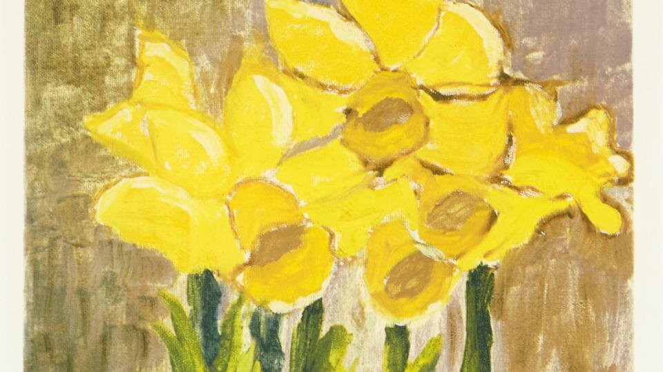 Нарциссы, написанные для Викки  Эдвардом Кеннеди  (фрагмент)