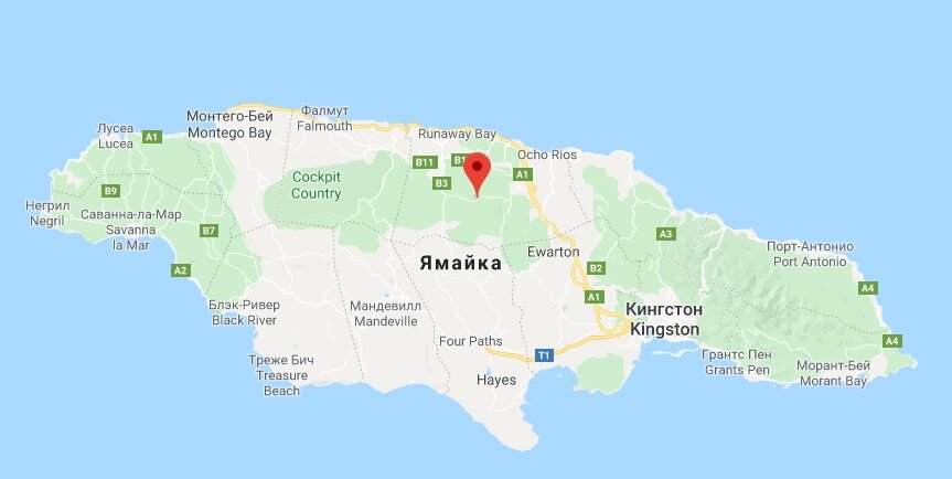 Вот тут и родился