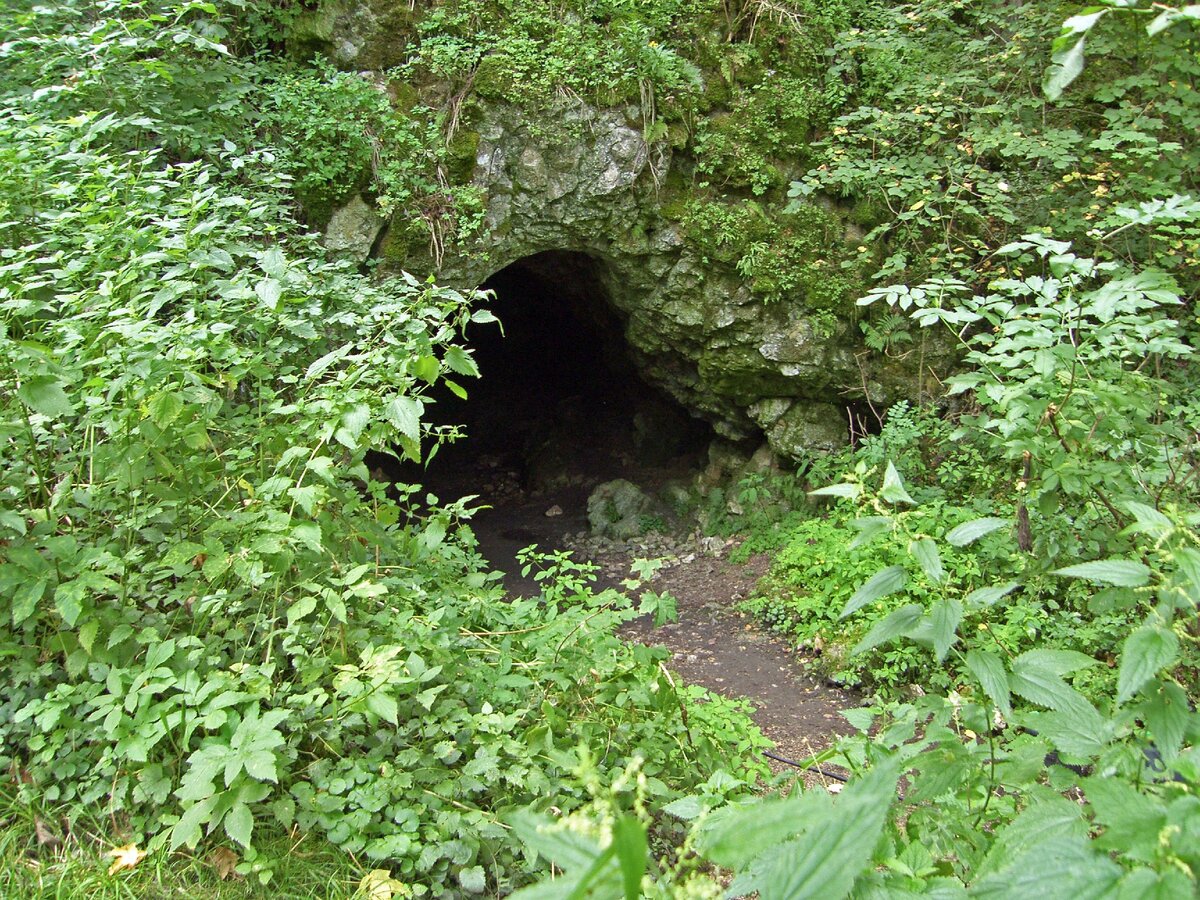 картинка из яндекс картинка