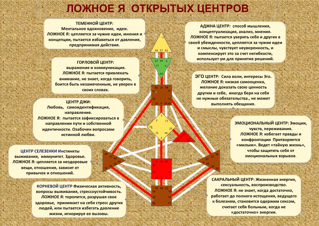 Ложное я в центрах дизайн человека. Центры в бодиграфе. Центры бодиграфа. Центры в дизайне человека.