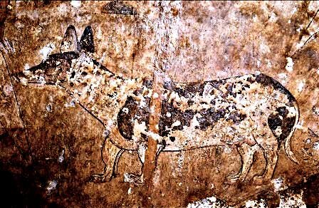 фото из открытых источников