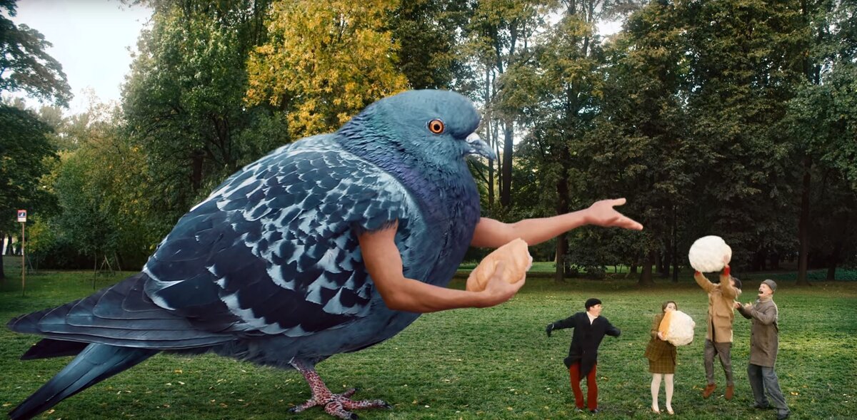 "Голубь кормит людей" - что-то метафоричное здесь есть.