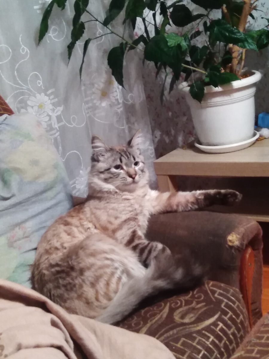 Че-то хотели? 
