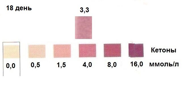 Кетоны - эталонная полоска и тест-полоска 18 дня