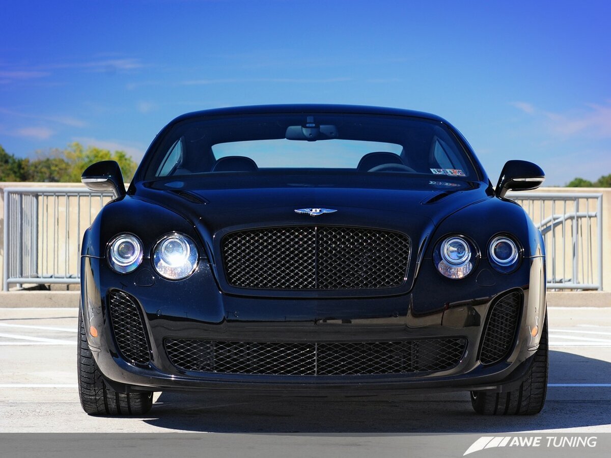 Данного авто. Бентли Вейрон. Бентли 3х дверный. Bentley 3w8. Bentley 3w3807648c