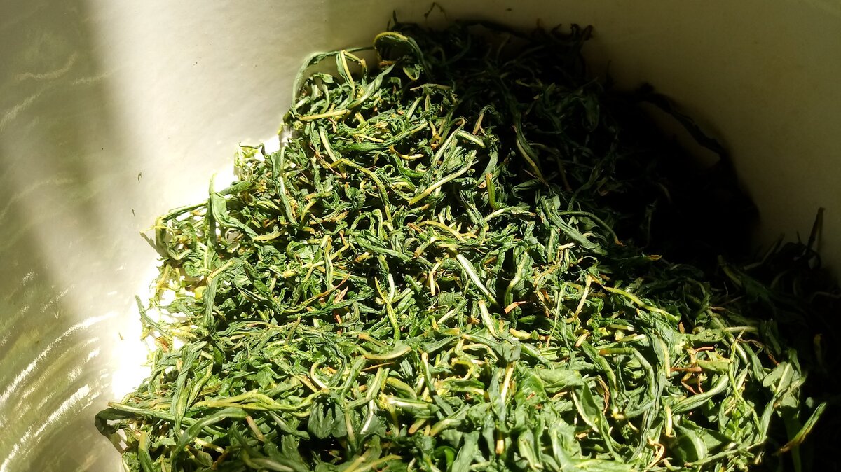 Скрученный лист помещается в теплое, влажное место(например в кастрюлю)