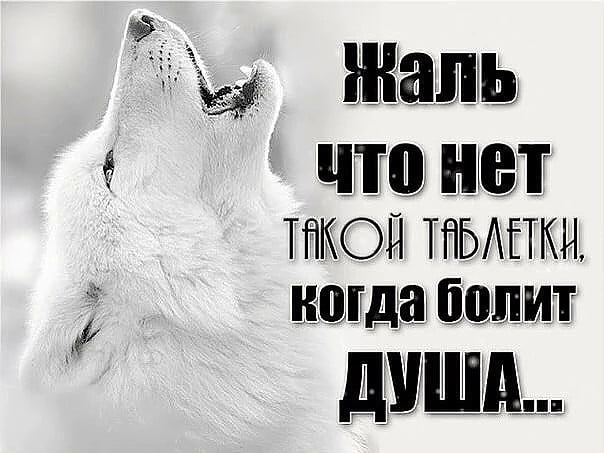 «Мы преуменьшаем эмоции»: что скрывается за тревожностью и как с ней справиться