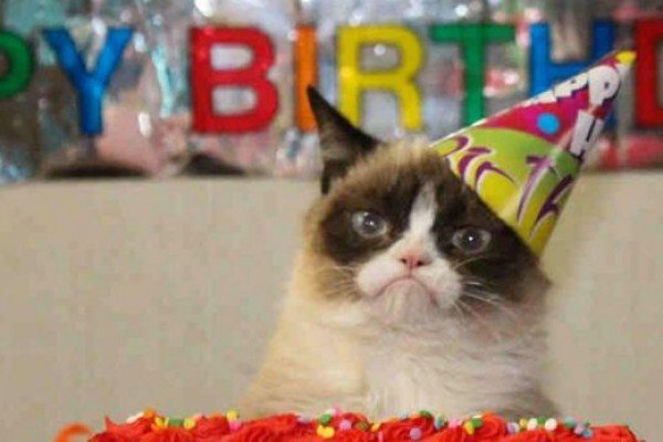 Чем старше становишься, тем больше ты похож на унылого кота в свой день рождения.