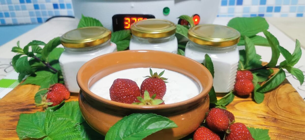 "Сыры Ольги Елис"еевой"