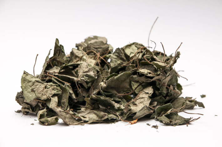 В медицине используют корень и листья копытня