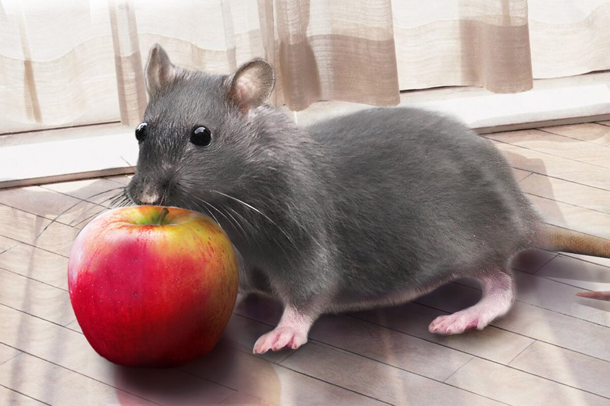 Сайт: детская-литература.рф