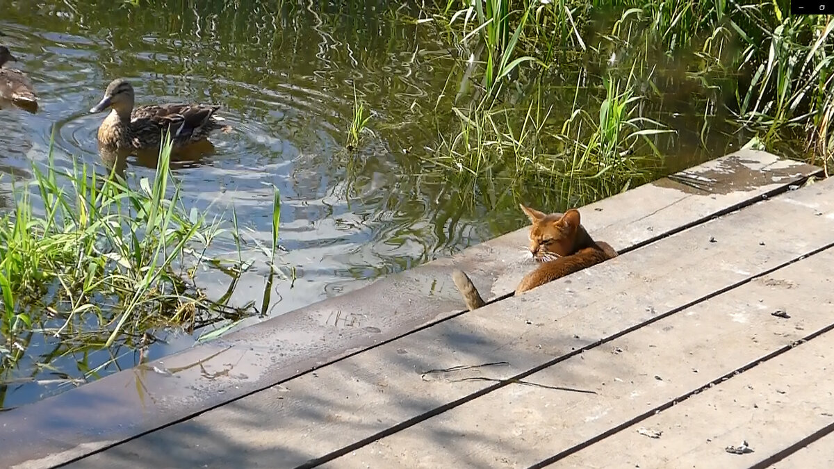 Подсмотрено ишим. Ночной ишим. Подсмотренно в кабинках витязево. Ишим барахолка. Подсмотрено 2020.