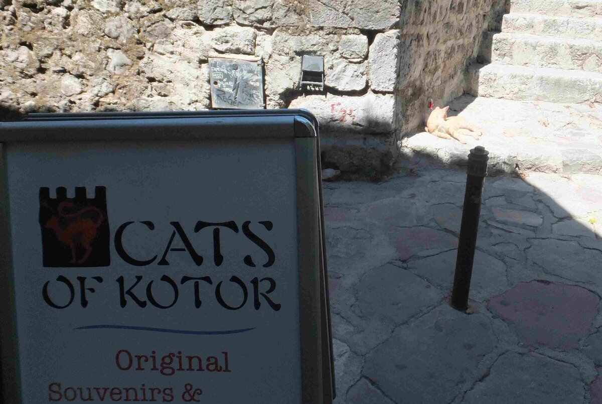 Личный архив. Вывеска магазинчика сувениров в старом городе.